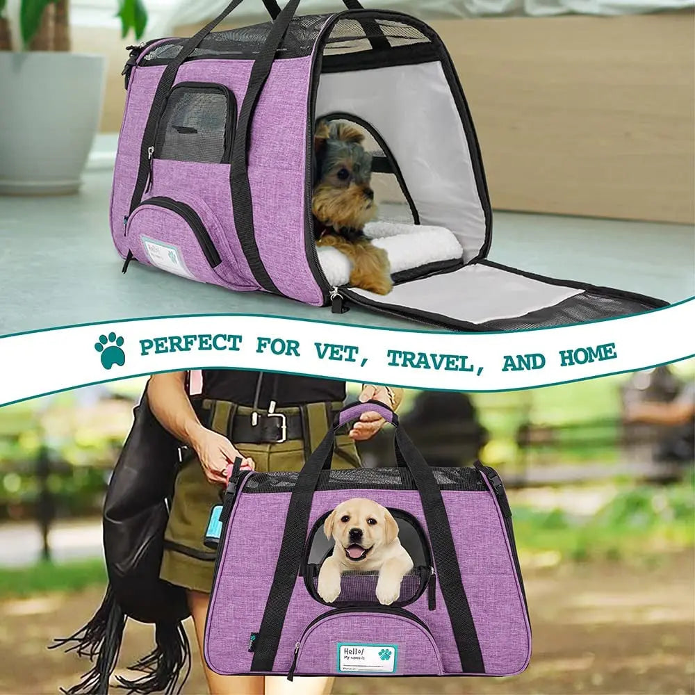 Airline-Approved Soft-Sided Pet Carrier for Cats and Small Dogs, Ventilated Travel Bag for Indoor Cats, Medium Kittens, and Puppies in Large Heather Purple