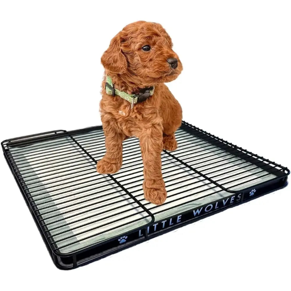 Puppy Potty Tray Essentials: Durable Reusable Tray with Dog Pee Pads and Housebreaking Supplies