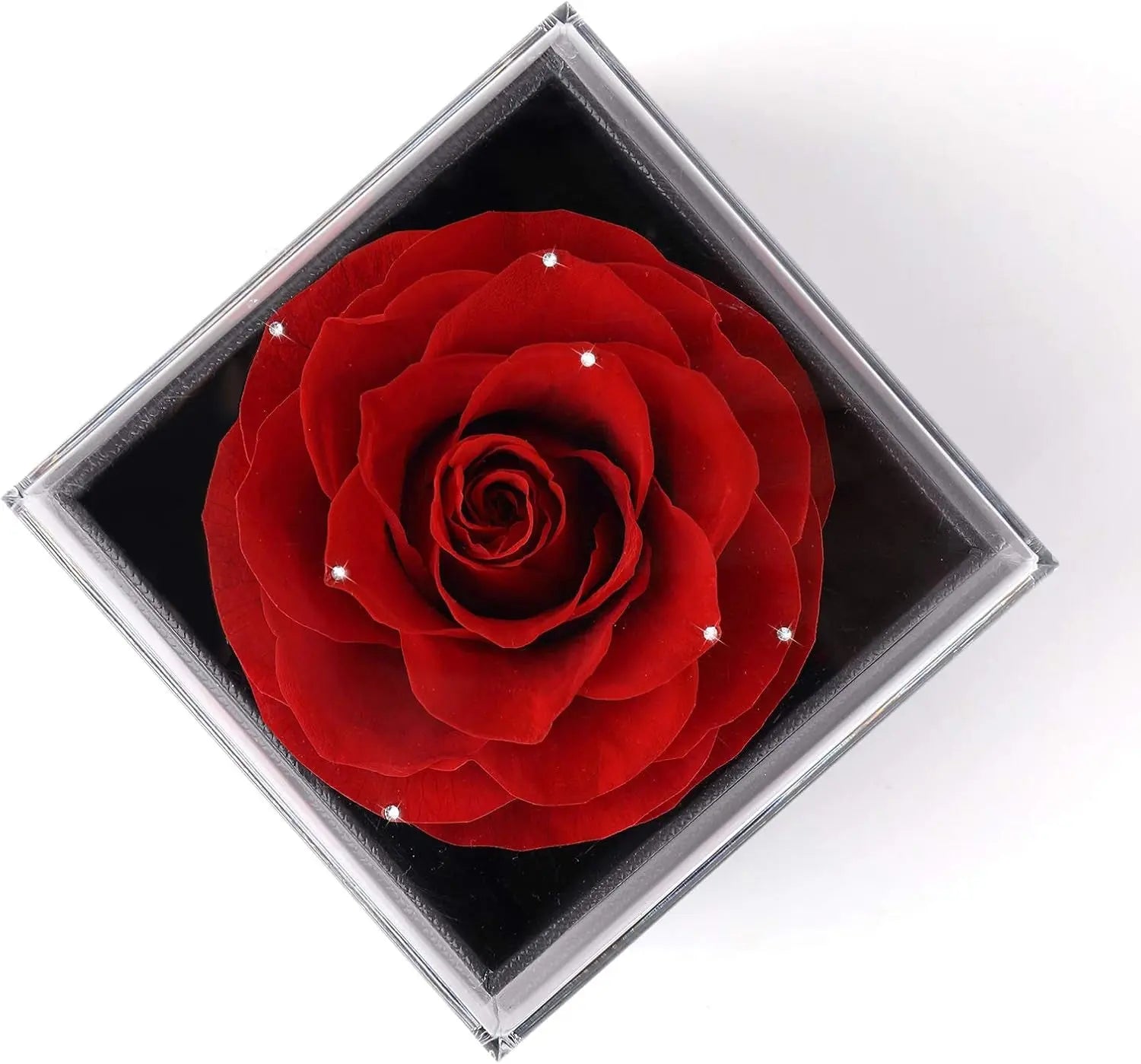 Mother's Day Gift Set: Preserved Real Flower Rose with Silver-Tone Heart Necklace Featuring "I Love You" in 100 Languages, Red Crystal Enchantment