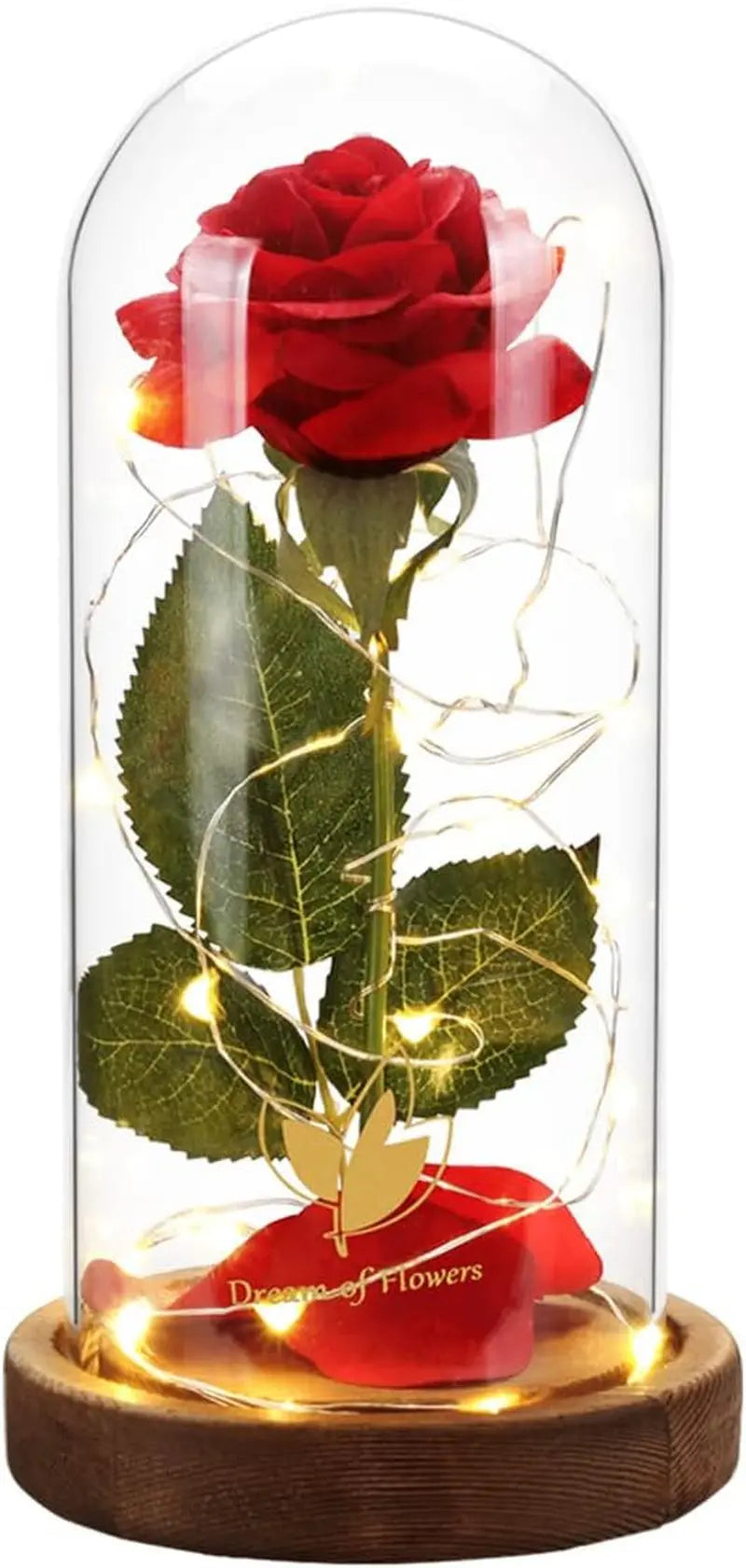 Eternal Beauty and the Beast Rose in Glass Dome with LED Lights - Timeless Gift for Women, Moms, and Wives for Christmas, Anniversaries, Thanksgiving, and Weddings
