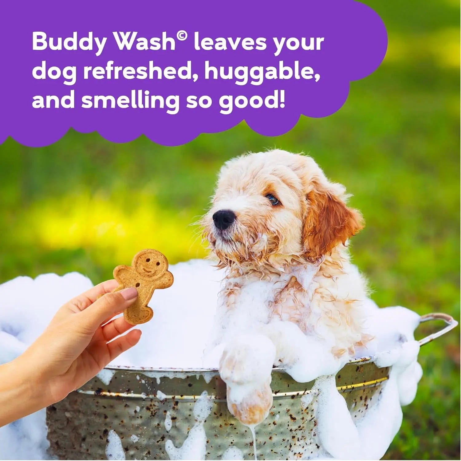 Buddy Wash 2-in-1 Lavender & Mint Dog Shampoo and Conditioner for Grooming, 1 Gallon