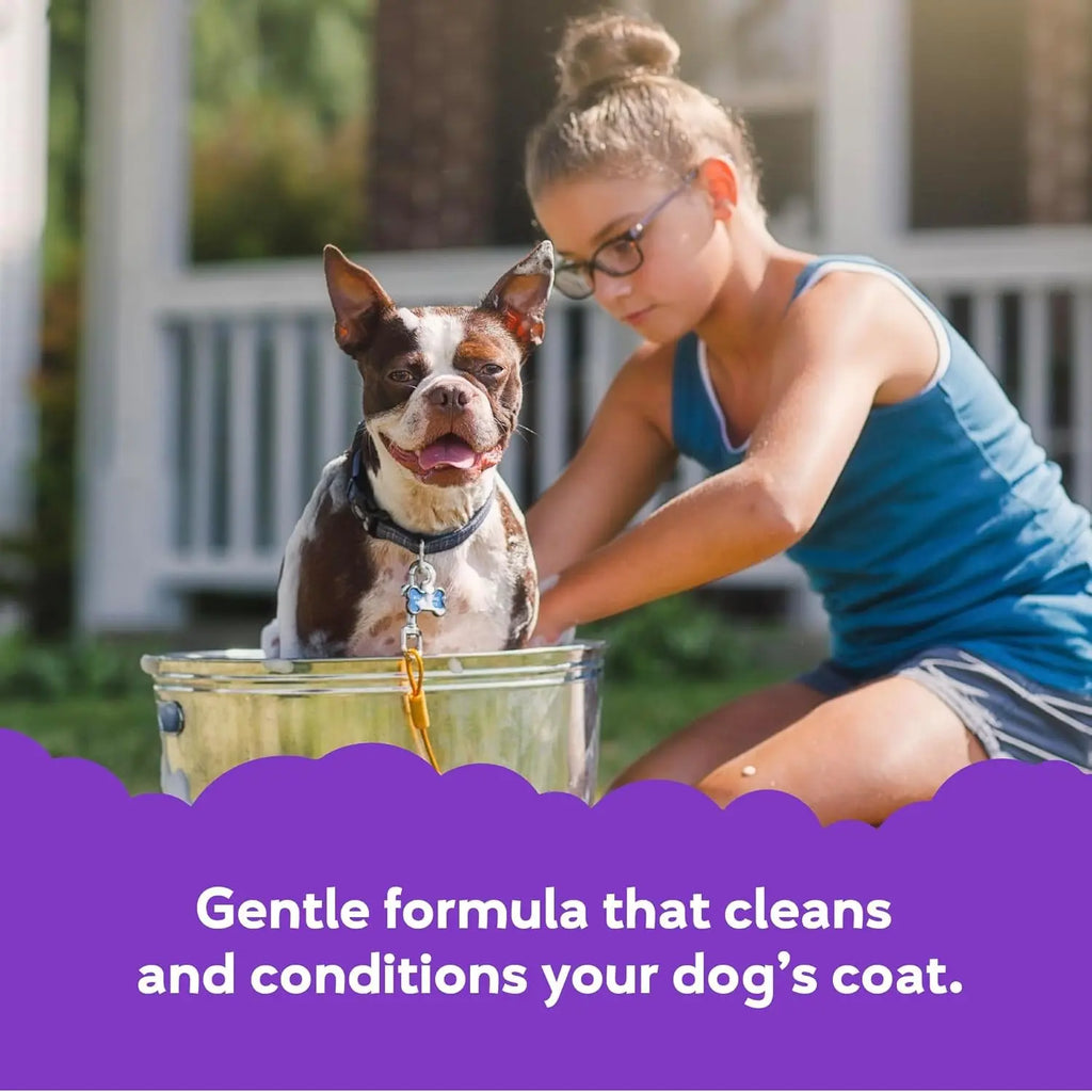 Buddy Wash 2-in-1 Lavender & Mint Dog Shampoo and Conditioner for Grooming, 1 Gallon