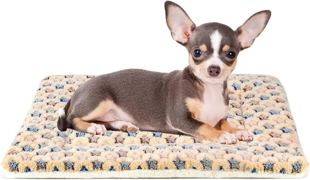 Ultra Soft Dog Crate Pad - Reversible Fleece Kennel Liner and Washable Mat with Star Print for Dogs and Cats, 21 x 12 Inches, Brown