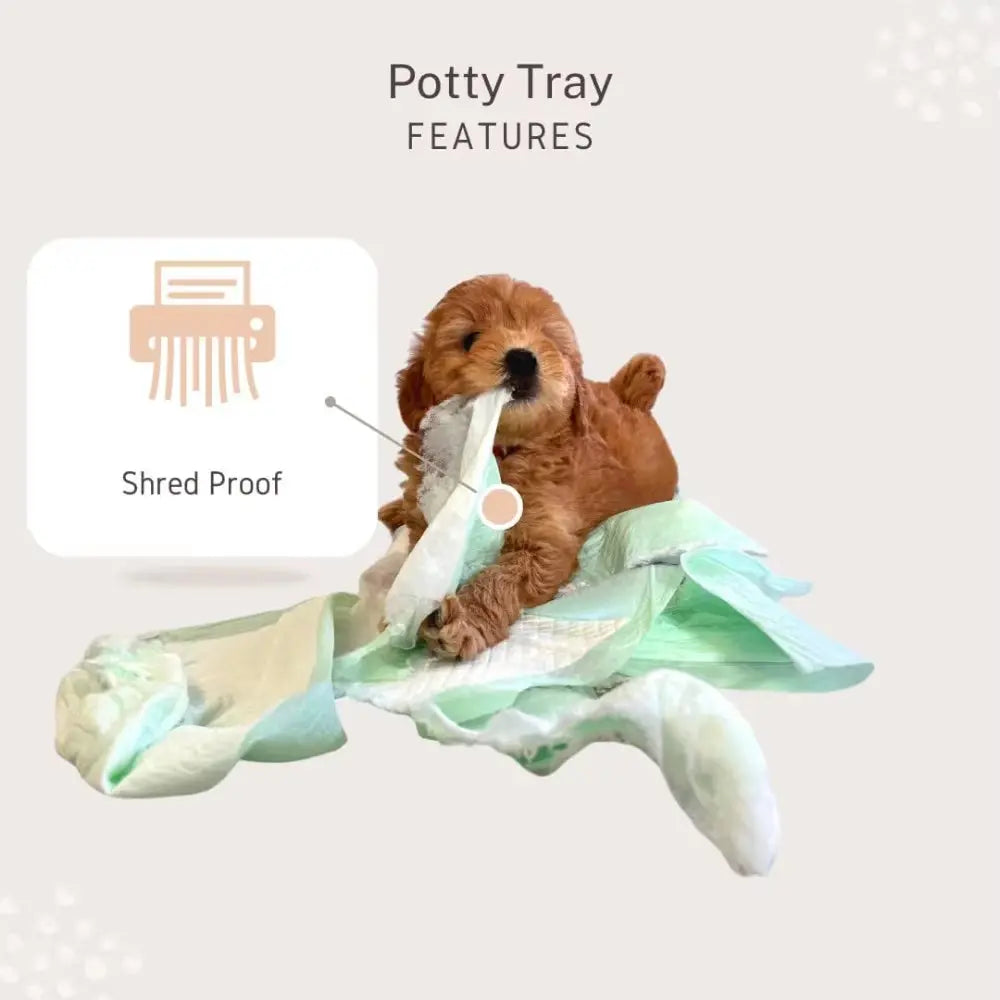 Puppy Potty Tray Essentials: Durable Reusable Tray with Dog Pee Pads and Housebreaking Supplies